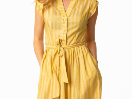 Yellow Gold Button Front Shirtwaist Striped Dress Sale