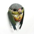 Blend In Mask: Green Cheek Conure Discount